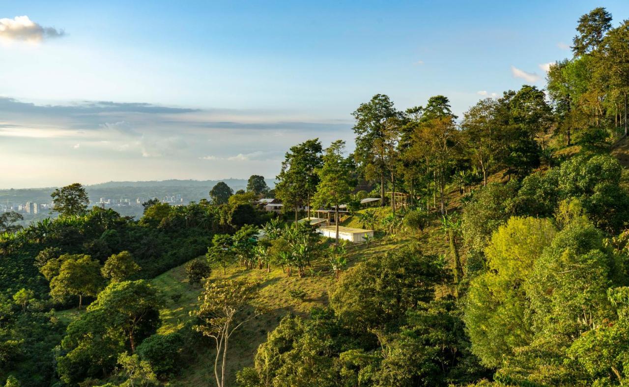 El Fenix Coffee Hotel กาลาร์กา ภายนอก รูปภาพ
