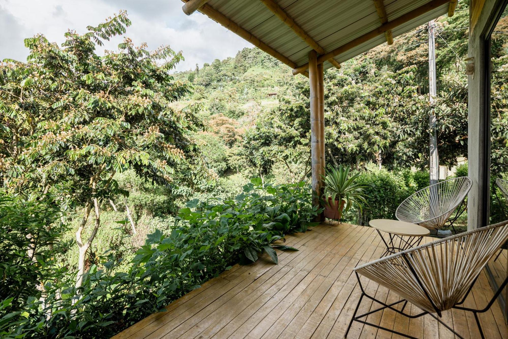 El Fenix Coffee Hotel กาลาร์กา ภายนอก รูปภาพ